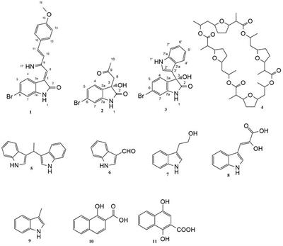 New Pim-1 Kinase Inhibitor From the Co-culture of Two Sponge-Associated Actinomycetes